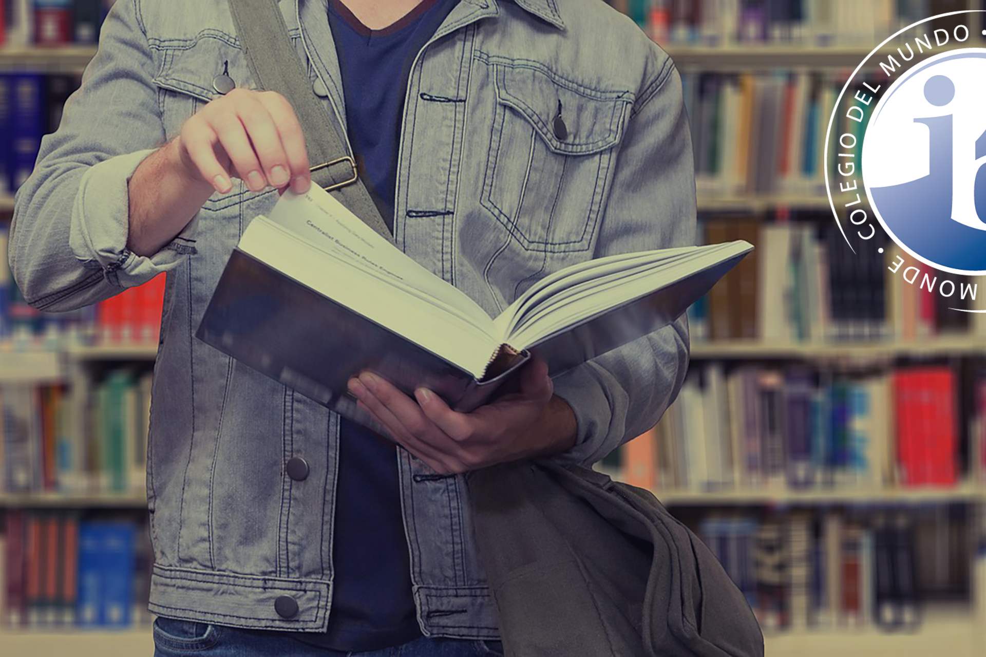 Läs mer om IB-programmen på SSHL