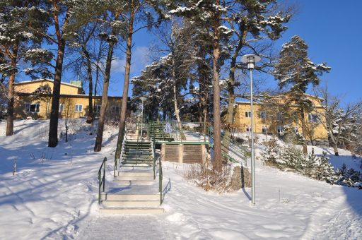 Vinter. Trappan till Berga och Backa från Instan